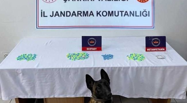 Çankırı'da uyuşturucu operasyonunda bir şahıs tutuklandı