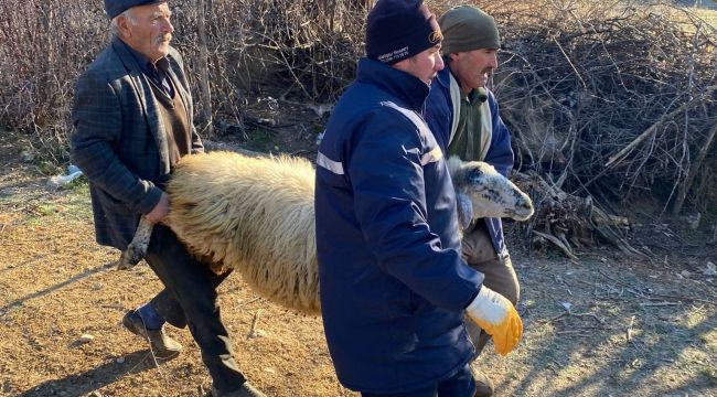 Deprem bölgesi için hayvan bağışladılar