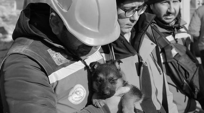Ezan okunurken uluyan köpek ve yavruları sesi fark eden görevlilerce enkazdan kurtarıldı