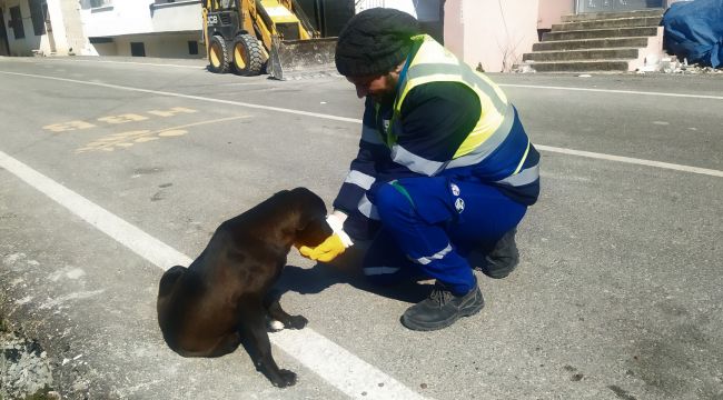 Nerede bir can varsa, orada Bursa var