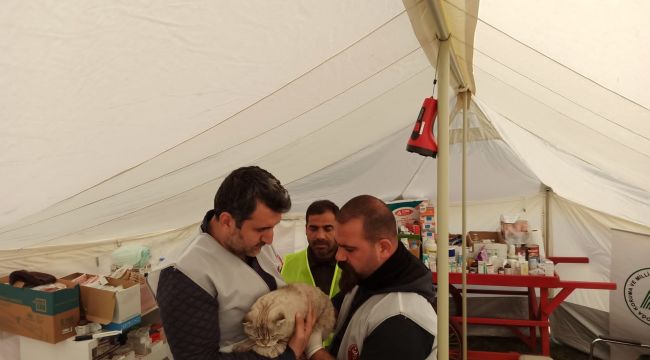 Tarım ve Orman Bakanlığı, deprem bölgesindeki can dostların yardımına koşuyor