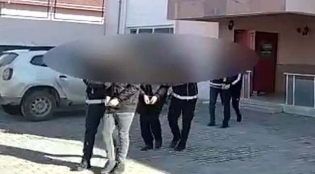 Van'da 7 organizatör tutuklandı