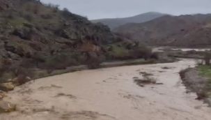 Elazığ'da şiddetli yağışlar sonrası dereler coştu