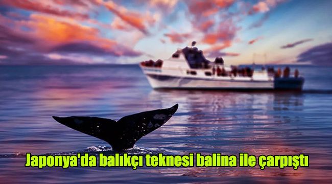 Japonya'da balıkçı teknesi balina ile çarpıştı
