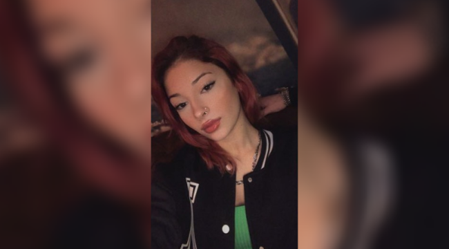 Şevval Nur 19 gündür kayıp