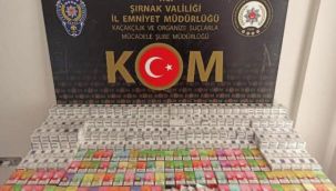 Şırnak'ta asayiş ve kaçakçılık operasyonu