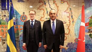 Bakan Çavuşoğlu İsveçli mevkidaşı Billström ile görüştü