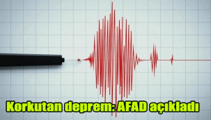 Korkutan deprem: Afad açıkladı