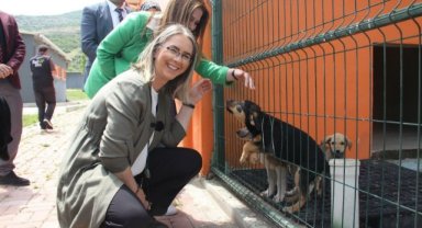 AK Partili Çankırı'dan İzmir'e sokak hayvanları için çifte müjde