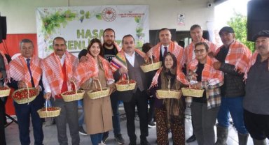 AK Partili Kırkpınar ilk kiraz hasadına katıldı