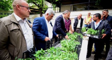 Bornova’da yerel üreticiye 500 bin fide