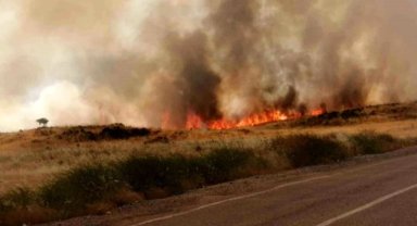 Buğday tarlası küle döndü