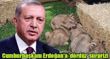 Cumhurbaşkanı Erdoğan'a 'dördüz' sürprizi