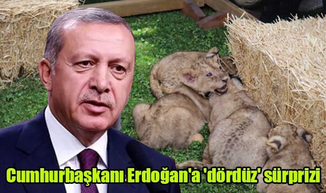 Cumhurbaşkanı Erdoğan'a 'dördüz' sürprizi