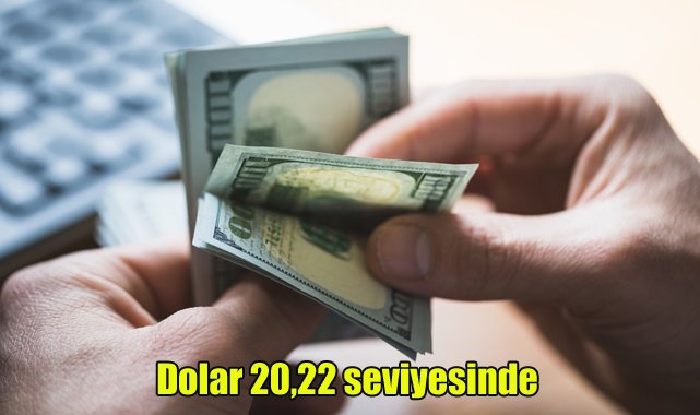 Dolar 20,22 seviyesinde