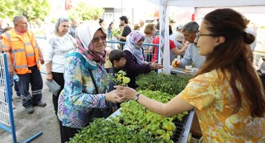 Efes Selçuk'ta yurtaşlara dağıtılan fidelerle sofralar bereketlenecek