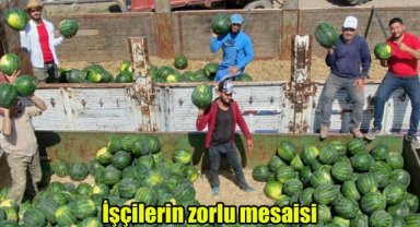 İşçilerin zorlu mesaisi