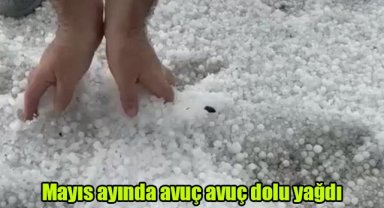 Mayıs ayında avuç avuç dolu yağdı