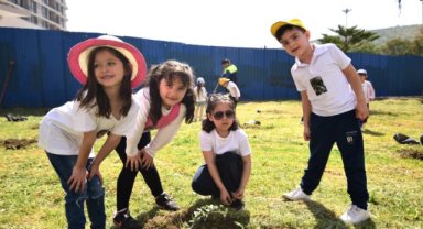 Minik eller zeytin fidanlarını toprakla buluşturmanın heyecanını yaşadı