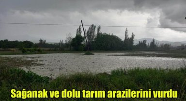 Sağanak ve dolu tarım arazilerini vurdu