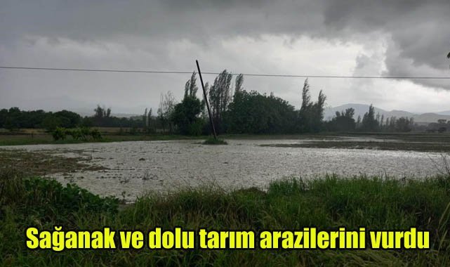 Sağanak ve dolu tarım arazilerini vurdu