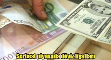 Serbest piyasada döviz fiyatları