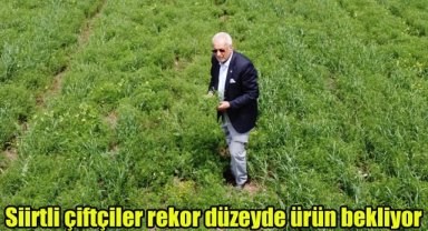 Siirtli çiftçiler rekor düzeyde ürün bekliyor
