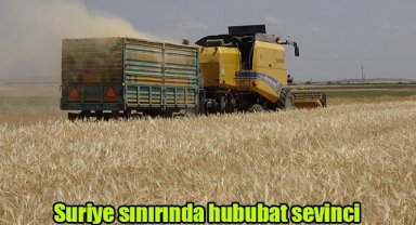 Suriye sınırında hububat sevinci