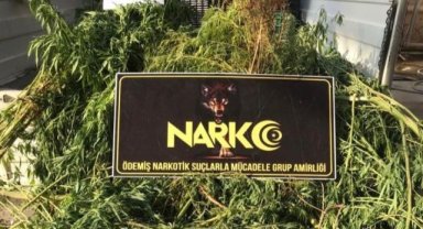 Tarım serasına uyuşturucu operasyonu: 3 gözaltı