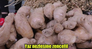 Yaz nezlesine zencefil