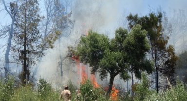 Anızdan başlayan yangın ormana sıçradı