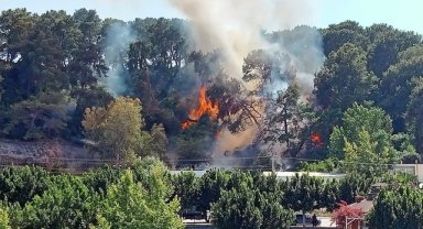 Antalya'da orman yangını