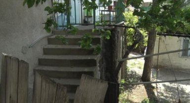 Bahçede köpek besleme kavgasında ev sahibini pompalı tüfekle öldürdü