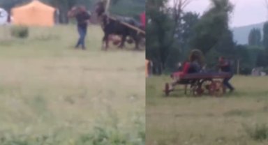 Bursa'da yürekleri sızlatan görüntü...Kendisini çeken ata böyle işkence yaptı