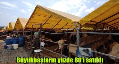 Büyükbaşların yüzde 80'i satıldı