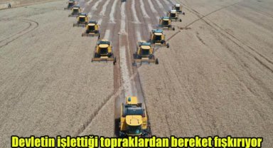Devletin işlettiği topraklardan bereket fışkırıyor