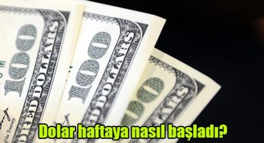 Dolar haftaya nasıl başladı?