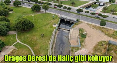 Dragos Deresi de Haliç gibi kokuyor