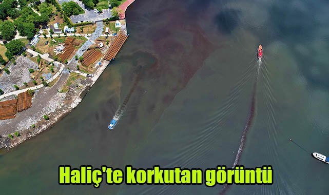 Haliç'te korkutan görüntü