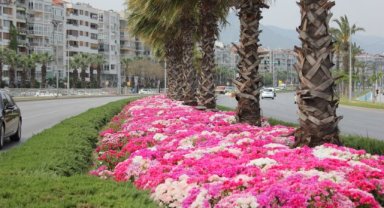 İzmir çiçek açtı: Cadde ve meydanlara sihirli dokunuş