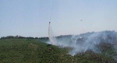 İzmir'deki orman yangını kontrol altında