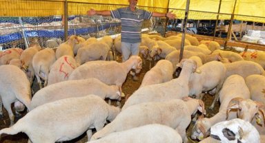 İzmir Kurban Bayramı’na hazır