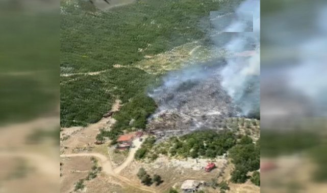 Kaş'ta orman yangını
