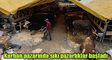 Kurban pazarında sıkı pazarlıklar başladı