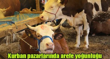 Kurban pazarlarında arefe yoğunluğu
