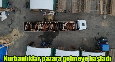 Kurbanlıklar pazara gelmeye başladı