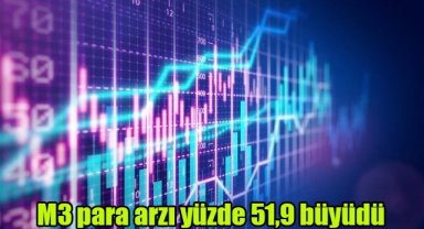 M3 para arzı yüzde 51,9 büyüdü