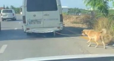 Minibüsün arkasına bağlanan köpeği zorla götüren sürücüye adli işlem