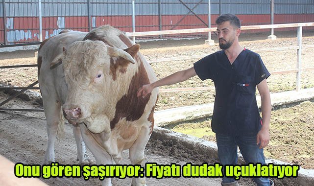 Onu gören şaşırıyor: Fiyatı dudak uçuklatıyor