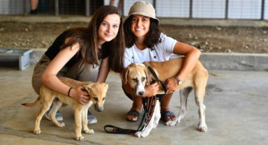 Pati dostları bu festivalde buluşacak